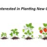 Are You Interested in Planting New Churches?